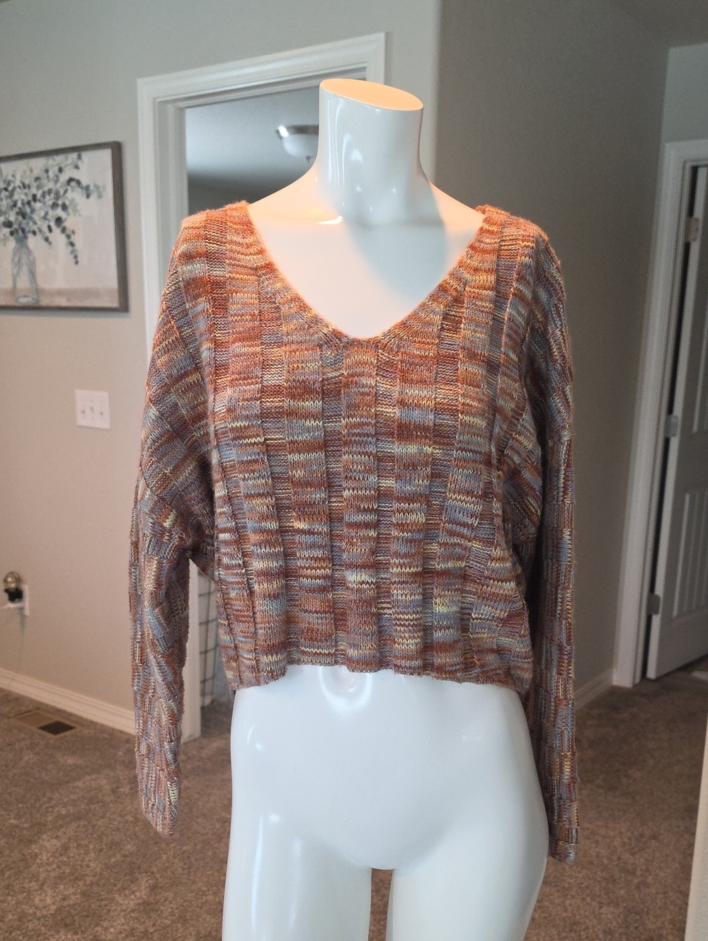 Gilded Intent Multicolor V-Neck Cropped Knit Sweater